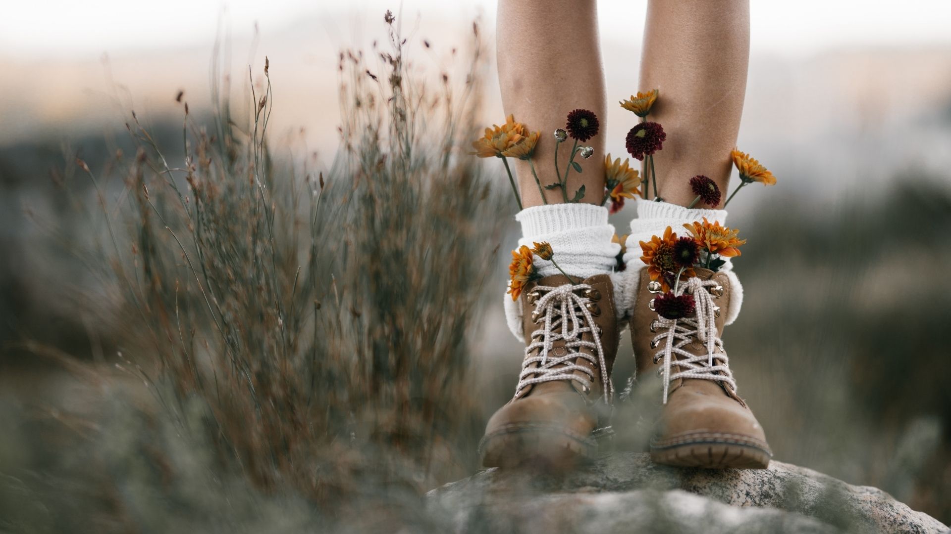 10 CV Tips Gør Det Nemt At Se, Hvem Du Er