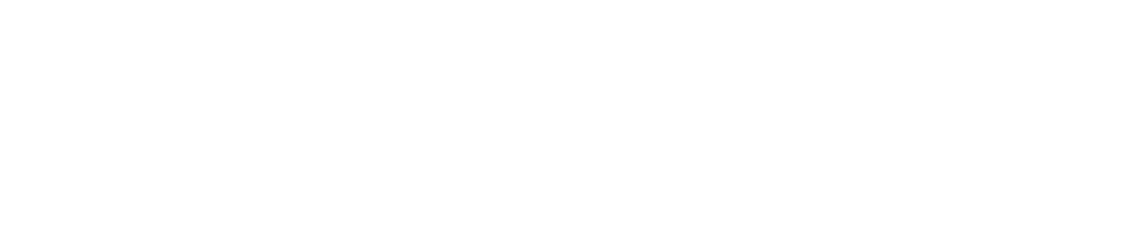 Tempteam Danish Logo White